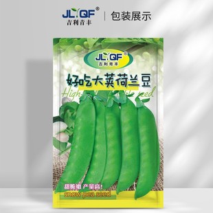 ���]���m���N���ļ����߲��㶹��N���Q�����Ѽ��R�����Ѽ��붹