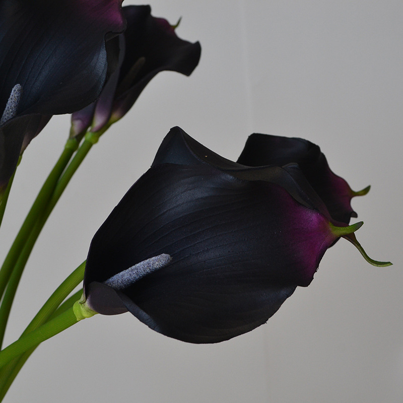DSC_0748.jpg