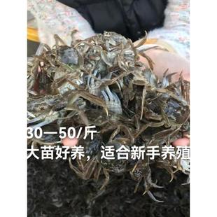 ���lзз�����絭ˮС�з���A�����Bֳ��з����ëз�q������
