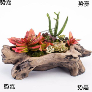 辰ℓ₀͵ľWtWͥԺ@b