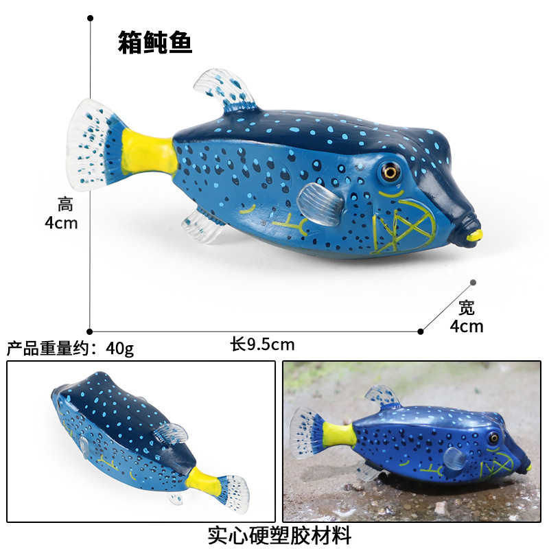 6BVQ海洋生物金枪鱼玩具飞鱼苏眉鱼实心海底动物塑胶儿童认知