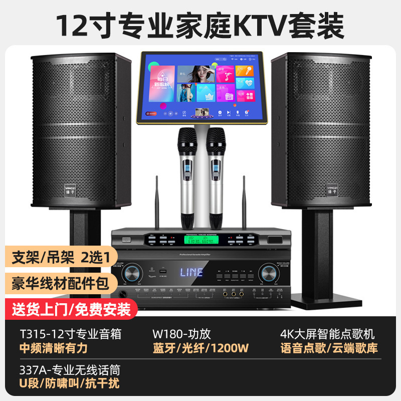 Yangzi 12inch 3 ウェイホームカラオケオーディオセットフルセットエンターテイメントスピーカーシステムプロフェッショナル ktv オーディオ|undefined