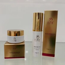 铂伊斯靓肤美肌两件套提亮肤色美容院专用套盒批发