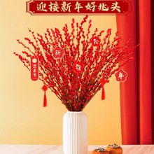 银柳 红柳 春节年宵花卉插花 银芽柳真花鲜枝干花基地 包邮