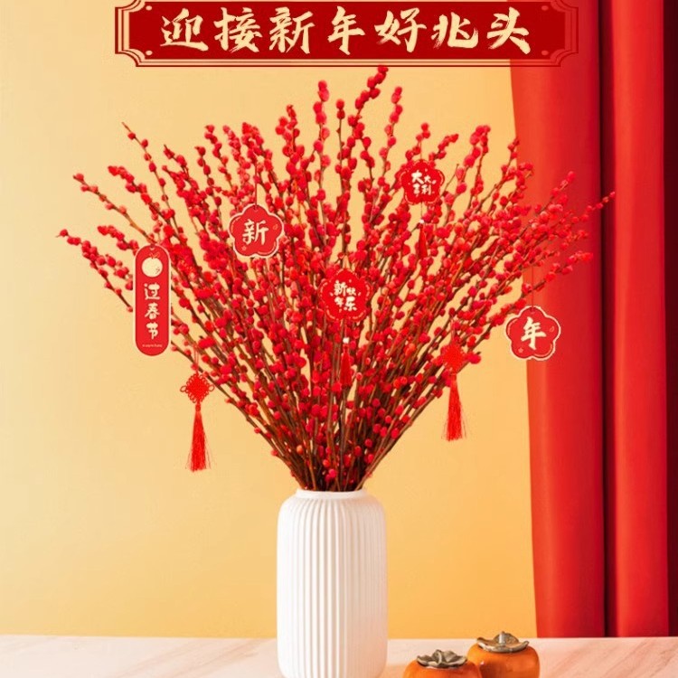 银柳 红柳 春节年宵花卉插花 银芽柳真花鲜枝干花基地 包邮