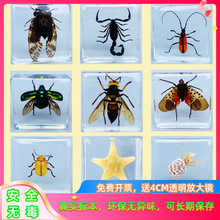 ���ƌW����֬�������x�з�˱�������֩��ϐ�ӿƌWС��Λρ��