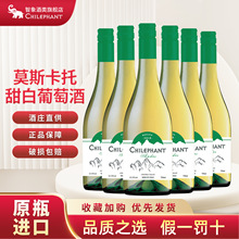 智利原酒进口12.5度 智象安第斯莫斯卡托甜白葡萄酒750ml*6微醺