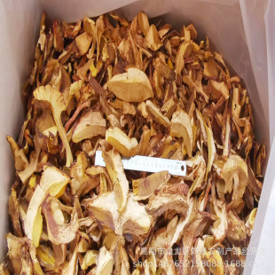 ����خa�Sţ�ξ���؛�Sه�^�S���^�S���S�����l��偾Ƶ��ُҰ��