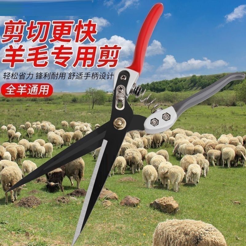 羊毛剪手动电泳羊毛剪动物剪兔毛剪修毛剪刀直头长剪刀弹簧剪刀