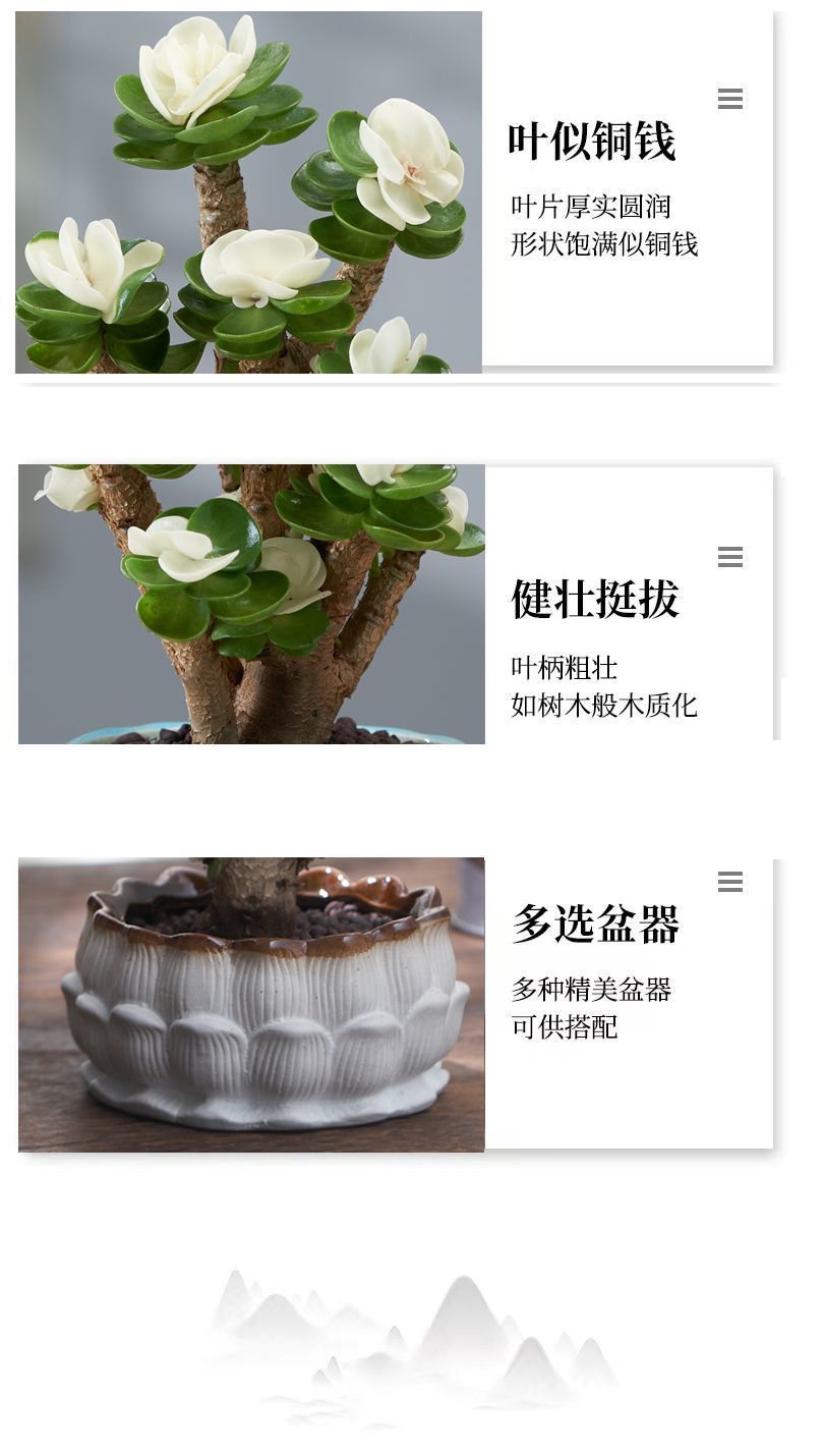 95c265e8-8d20-4420-a2d1-d60ca5762b2f.jpe