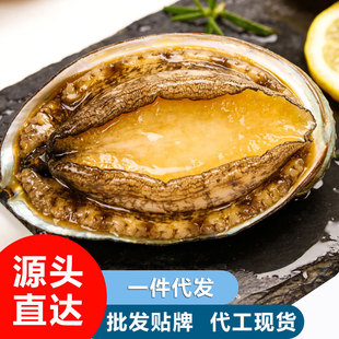 ��U�~���l�r������ش����r���U�~���U�����U�~�������l�Ƶ�ʳ