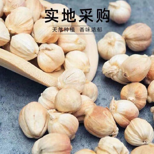 Source: Wholesale supply of dried white cardamom beans, used for flavor enhancement in seasoning and spicy hot pot bases.