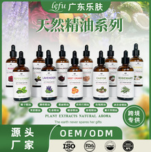 �羳�������w�����aˮ�澏����Ħ���A�����w��Ħֲ��l�ᾫ��