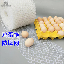 不服比价鸡蛋鸡笼防锈印养鸡专用塑料网去笼印必备养殖用网塑料