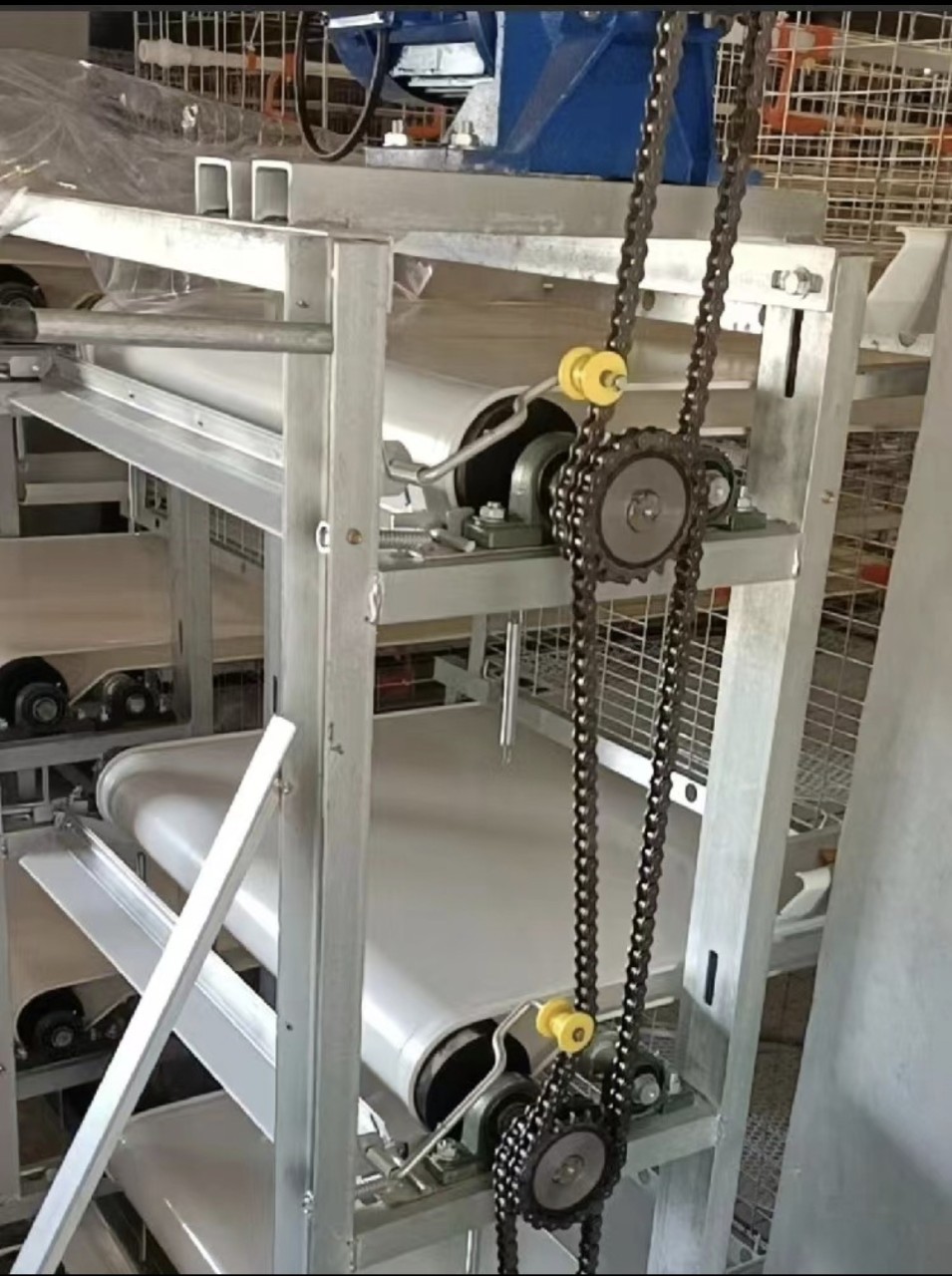 全自动大型养殖场清粪设备鸡笼传送带鹅床传送带