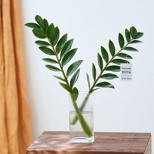 ˮ����X��ˮ�B�Ϙ��Gֲ�҃������ļ����B�ﶬ�͏d����ֲ�ﻨ