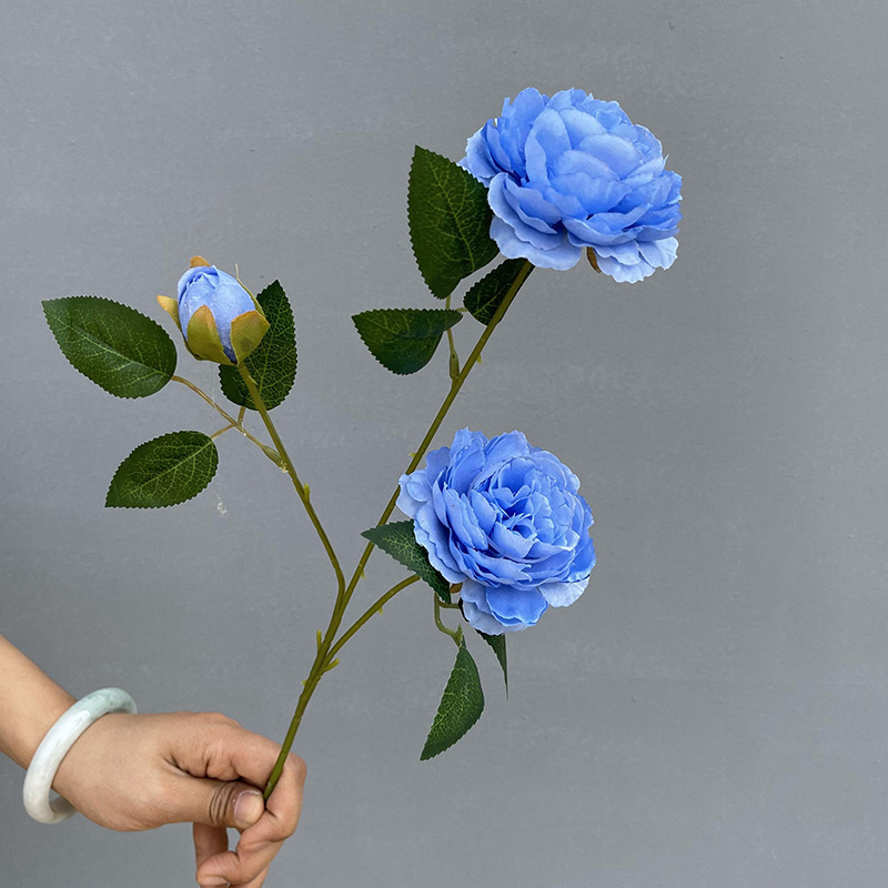 3 Foreign peonies-medium blue