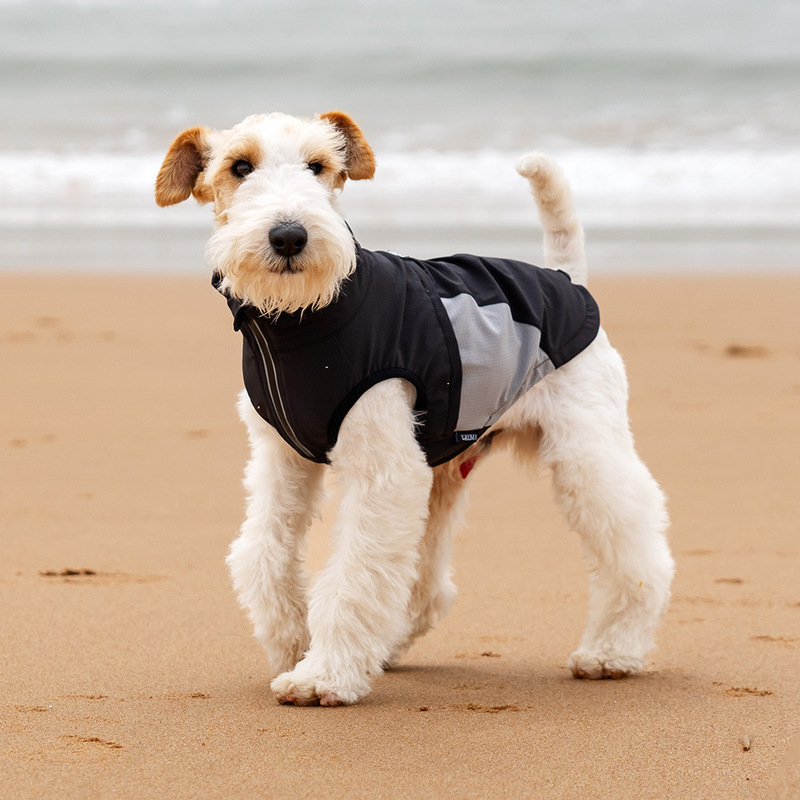 夏用速乾ペットハイネック日焼け止めベスト、濡れても大丈夫、極薄犬服、中小型犬ペット服|undefined