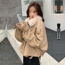 ¿ɿ˷puƤŮ̿2025궬¿ӽqӺ޷ƤA˙C