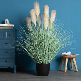 ���W�JȔ�ݻ���β�ͲݼҾ��҃��Ѳݾ��^������мٲ��b[�O