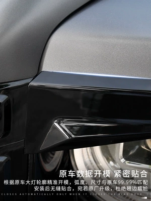 H9 Headlight Eyebrow Decorative: Lamp eyebrow
