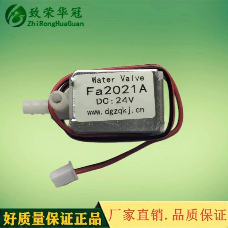 ΢�͵�ŷ�Fa2021A����ʽ��ŷ�����΢�͵��ӷ�רҵ���й����