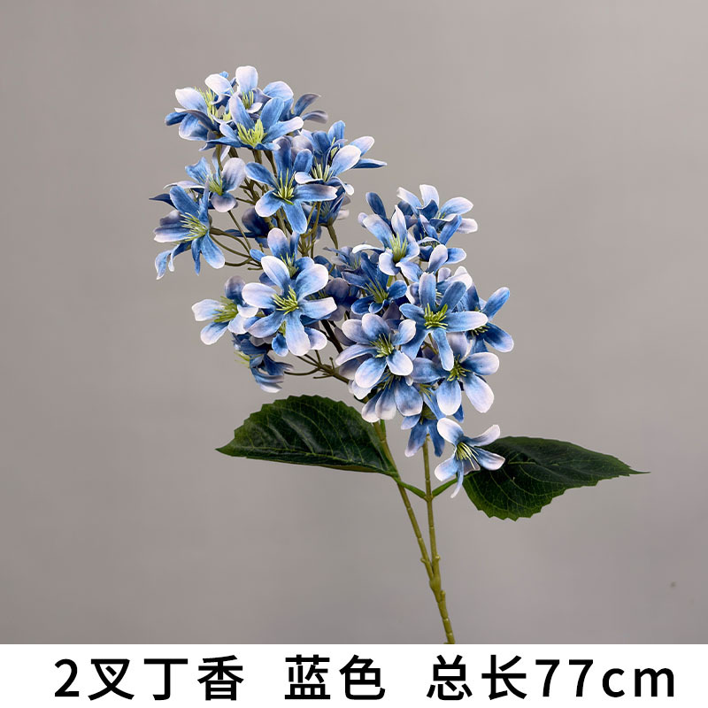 정향 2개, 헤이즈 블루, 전체 길이 77cm