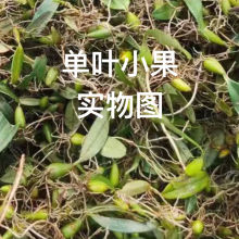 ʯ�ϙ���~С�����l ���r����ʯ���� ���~С�С̖ ���ǰl؛��؛