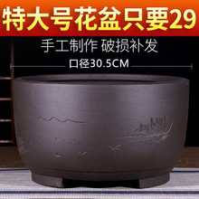 ��ɰ�����ش�����m�G�}�����̨�N�˄����辰�Gֲ���Զ���䘶