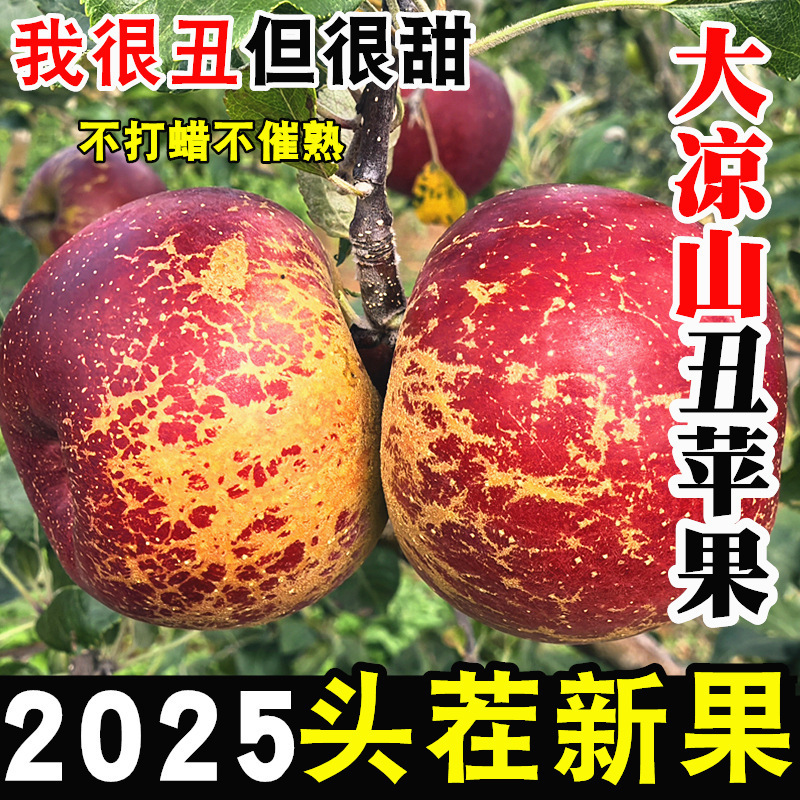 Authentic Red Fuji Sugar Heart Apples, Crisp and Sweet, Seasonal Fresh Fruit, Directly Shipped, Whole Box for Pregnant Women Authentic Red Fuji Sugar Heart Apples, Crisp and Sweet, Seasonal Fresh Fruit, Directly Shipped, Whole Box for Pregnant Women
