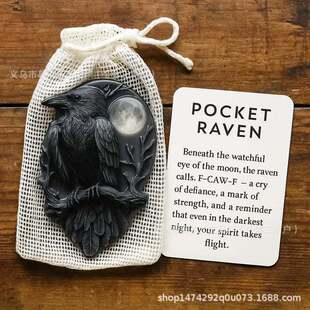 �羳��ƷPocket Raven�ڴ�����