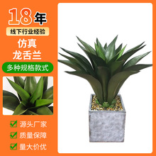 ���������m�Ҿ��b������ԾG�׼ٲݼٻ��[������ֲ���ʹ��m