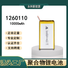 SN1260110ɳƄԴ늳 10000mAh ܛۺ늳