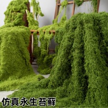 ����̦�\�쾰����̦ë����Ƥ�Gֲ΢���^ֲ���b����������ƺ���