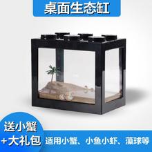 螃蟹缸养螃蟹的专用缸饲养盒辣椒蟹小宠物生态系亚克力小型造景缸