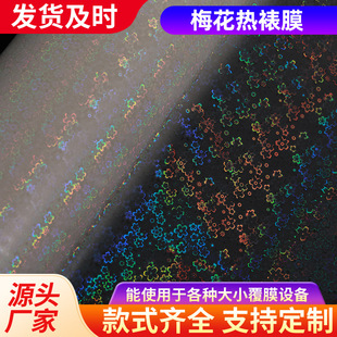 Manufacturer Customized Plum Blossom Hot Laminating Film Pre-Coated Film Cross Film Glitter Brushed Laser Film Pet Film Material