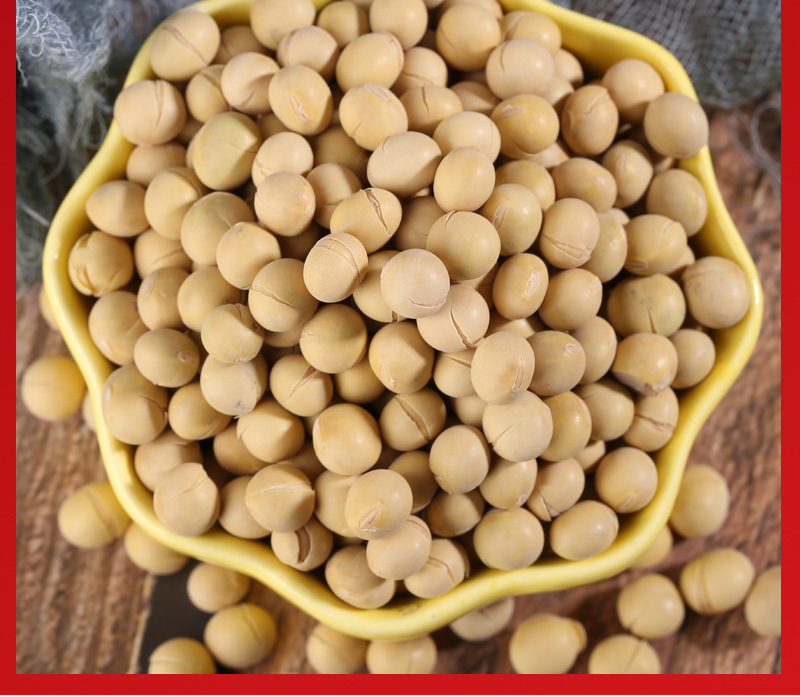 Roasted Mixed Beans and Peanuts 500g Ready-to-Eat Soybean Mung Bean Adzuki Black Bean Chickpea Snack and Culinary Use quality and texture