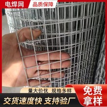 現貨批發鍍鋅電焊網工地保溫防裂抹灰鐵絲網鋼絲網圈地養殖防護網