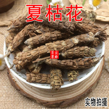 ���x ��؛ ���Ұ�������Ŀݻ� �Ŀ��� ��鳲� ���^�� ���]l