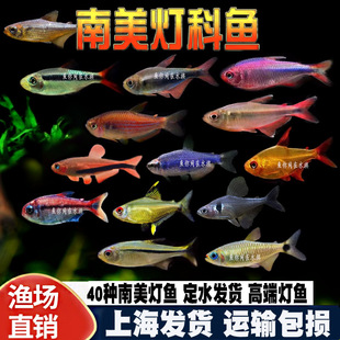 ���������~���ę���늹�t�¿ɿ��Ꭷ�^�pˮ�ݸ�Ⱥ�λ��w