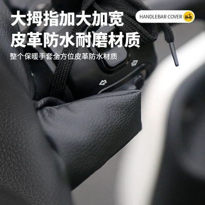 Battery Car Gloves, Waterproof Windshield | Handlehold cover