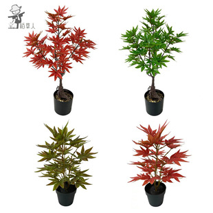 ������滨�٘��~����Gֲ���~���uצ�~������ؼ�ͥ�����b��쾰