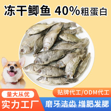 猫咪狗狗零食冻干鲫鱼多春鱼微山湖淡水小鱼全阶段增肥发腮宠物零