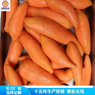 中鼎红薯蒸汽去皮机 大型全自动地瓜干番薯干倒蒸红薯干加工设备