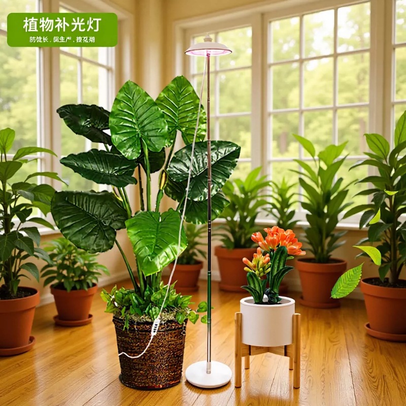 Plant lamp