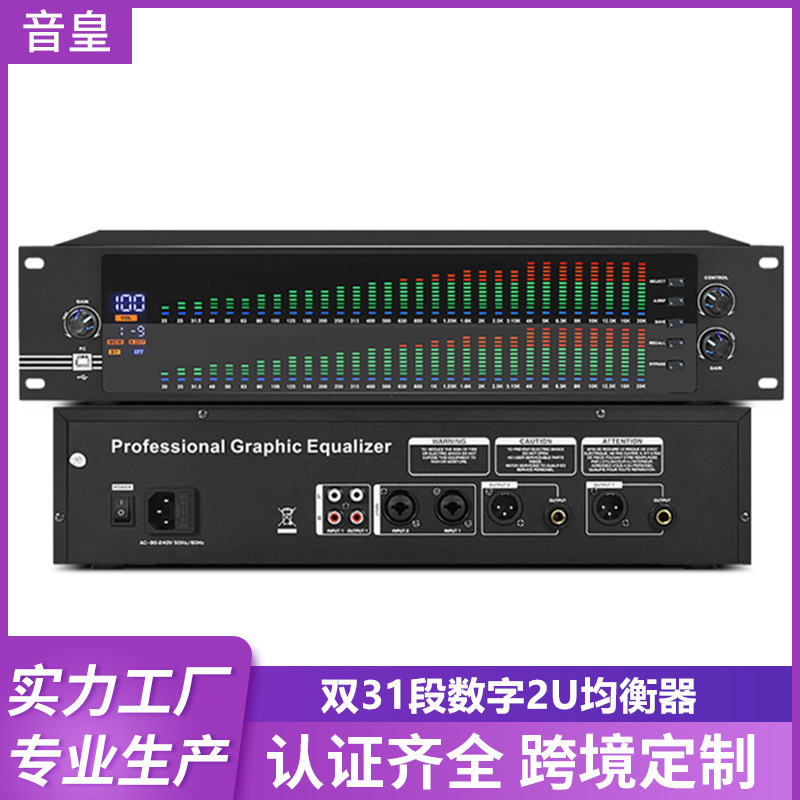 Dual 31-Segment Equalizer Professional Home Stage Performance High School Bass Eq Noise Reduction Bar Wedding Digital Tuner