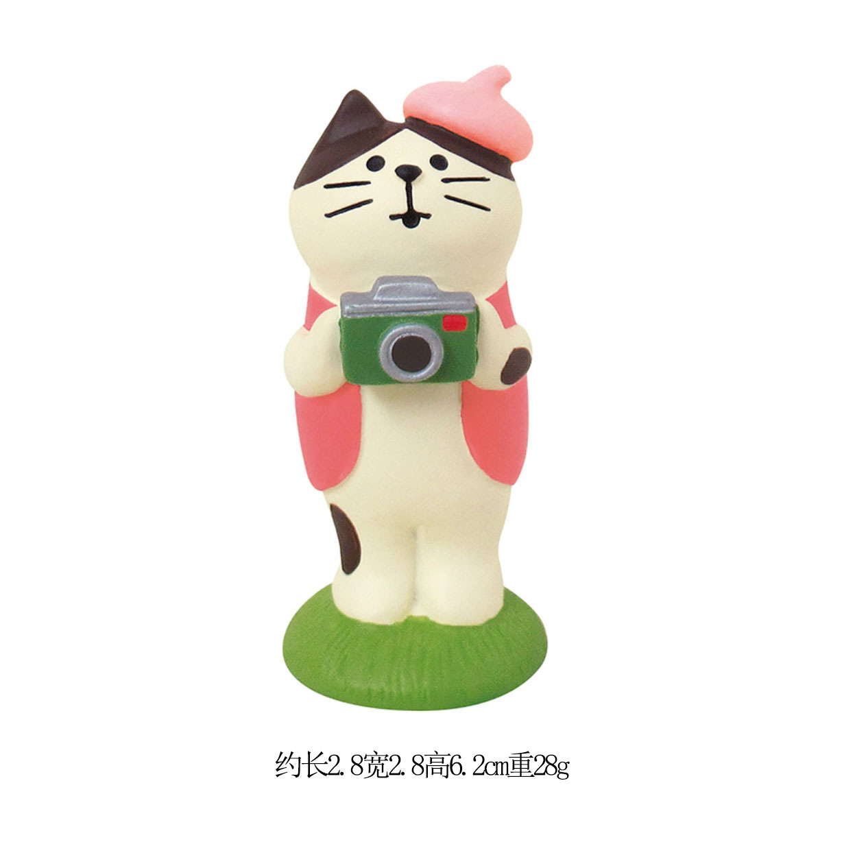 사진 고양이 꽃 축제
