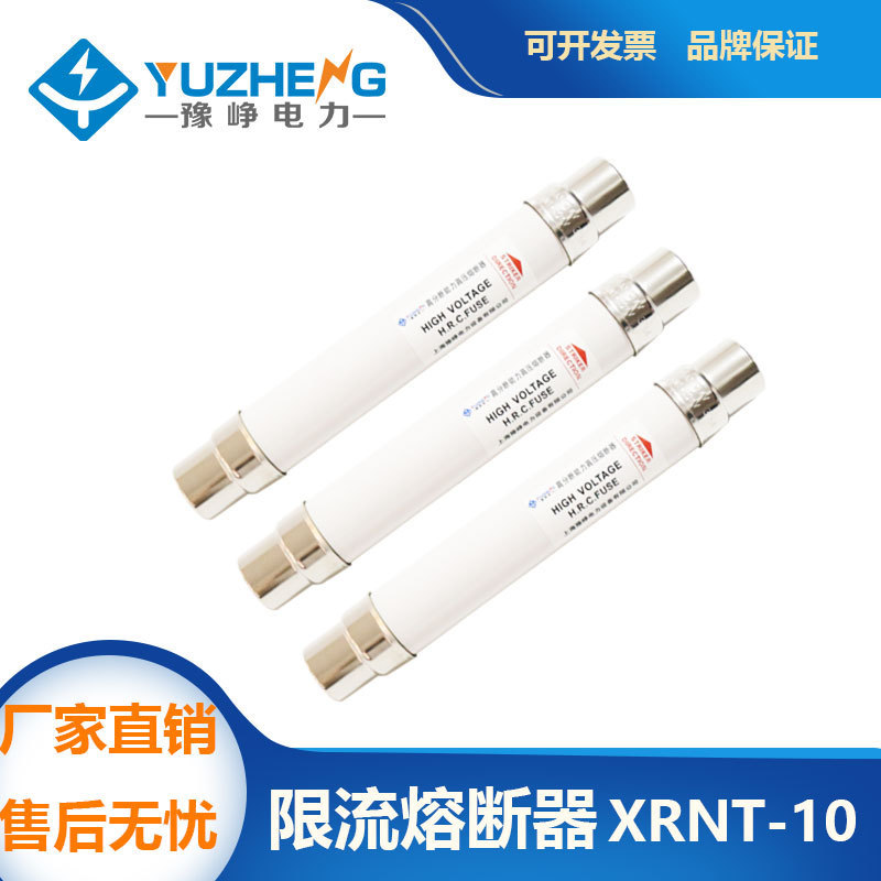 高分断限流熔断管保险丝XRNT10-12KV50A63A80A100A12高压熔垒德株