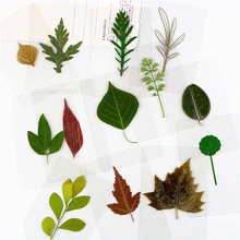 �ܷ�ɻ��������~�����^��ֲ��˱��^�ܕ����~�ӕ����y���~����