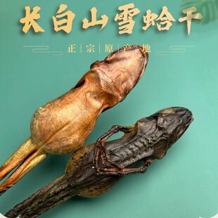 ���x�L��ɽѩ������ܸ���ֻ���ܸ��� ������ѩ���ѩ�� ľ��؛